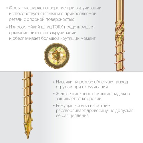 ЗУБР КС-Т, 160 х 6.0 мм, TX30, тарельчатая головка, желтый цинк, 100 шт, конструкционный саморез, Профессионал (30051-60-160) ЗУБР КС-Т, 160 х 6.0 мм, TX30, тарельчатая головка, желтый цинк, 100 шт, конструкционный саморез, Профессионал (30051-60-160)