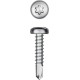 KRAFTOOL DS-P, 19 х 3.9 мм, А2, сверло, полукруглая головка, ТХ15, 750 шт, саморез нержавеющий (300931-39-019)