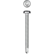 KRAFTOOL DS-P, 50 х 4.8 мм, А2, сверло, полукруглая головка, ТХ25, 150 шт, саморез нержавеющий (300931-48-050)