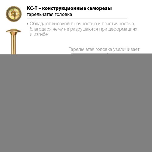 ЗУБР КС-Т, 160 х 6.0 мм, TX30, тарельчатая головка, желтый цинк, 100 шт, конструкционный саморез, Профессионал (30051-60-160)