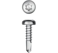 KRAFTOOL DS-P, 13 х 3.5 мм, А2, сверло, полукруглая головка, ТХ15, 1000 шт, саморез нержавеющий (300931-35-013)