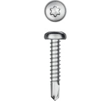 KRAFTOOL DS-P, 25 х 3.5 мм, А2, сверло, полукруглая головка, ТХ15, 600 шт, саморез нержавеющий (300931-35-025)
