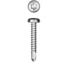 KRAFTOOL DS-P, 32 х 3.9 мм, А2, сверло, полукруглая головка, ТХ15, 380 шт, саморез нержавеющий (300931-39-032)