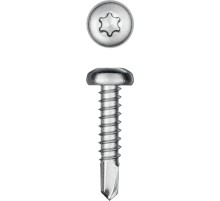 KRAFTOOL DS-P, 19 х 4.2 мм, А2, сверло, полукруглая головка, ТХ20, 450 шт, саморез нержавеющий (300931-42-019)