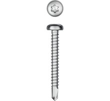 KRAFTOOL DS-P, 38 х 4.8 мм, А2, сверло, полукруглая головка, ТХ25, 200 шт, саморез нержавеющий (300931-48-038)