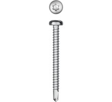 KRAFTOOL DS-P, 50 х 4.8 мм, А2, сверло, полукруглая головка, ТХ25, 150 шт, саморез нержавеющий (300931-48-050)