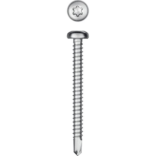 KRAFTOOL DS-P, 50 х 4.8 мм, А2, сверло, полукруглая головка, ТХ25, 150 шт, саморез нержавеющий (300931-48-050)