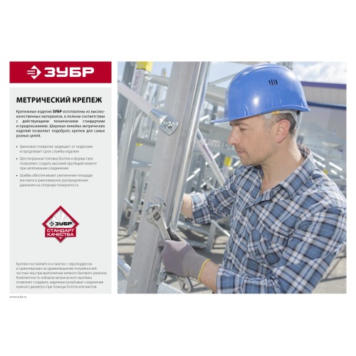 ЗУБР ГОСТ ISO 4032-2014, кл. пр. 6, M4, цинк, 55 шт, шестигранная гайка (303556-04)