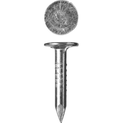 ЗУБР 20 x 3 мм, цинк, 5 кг, гвозди с большой потайной головкой (305090-30-020)