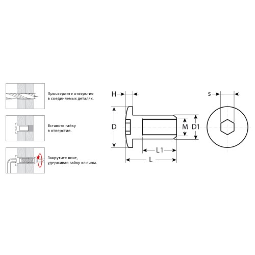 ЗУБР M6 x 12 мм, шест. 4 мм, цинк, 5 кг, гайка Эриксона с полукруглой головкой, Профессионал (303760-4)