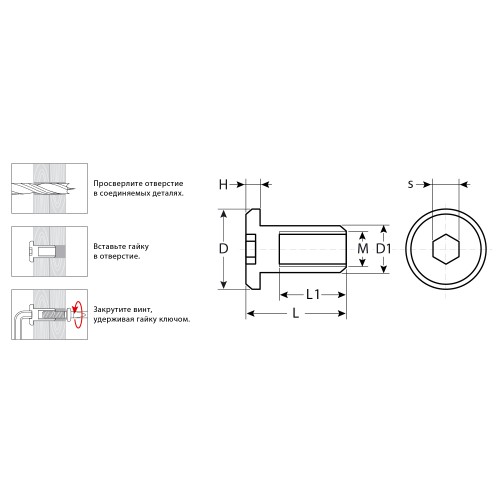 ЗУБР M6 x 12 мм, шест. 5 мм, цинк, 5 кг, гайка Эриксона с плоской головкой, Профессионал (303770-5)