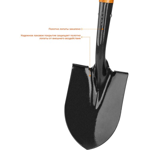 ЗУБР Профи-10, 210 х 150 х 660 мм, полотно 1.7 мм закалено, черенок из дуба высш. сорта с рукояткой, автомобильная лопата, Профессионал (39355)