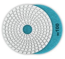 ЗУБР 100 мм, №100, мокрое шлифование, алмазный гибкий шлифовальный круг АГШК, Профессионал (29866-100)