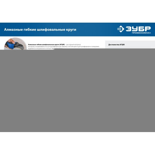 ЗУБР 100 мм, №1000, мокрое шлифование, алмазный гибкий шлифовальный круг АГШК, Профессионал (29866-1000)