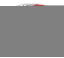 ЗУБР 100 мм, №400, мокрое шлифование, алмазный гибкий шлифовальный круг АГШК, Профессионал (29866-400)