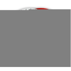 ЗУБР 100 мм, №400, мокрое шлифование, алмазный гибкий шлифовальный круг АГШК, Профессионал (29866-400)