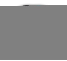 ЗУБР 100 мм, №400, сухое шлифование, алмазный гибкий шлифовальный круг АГШК, Профессионал (29868-400)