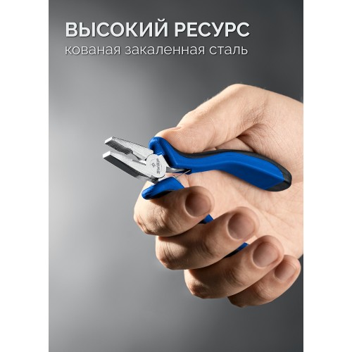 ЗУБР 120 мм, мини плоскогубцы, Профессионал (22170-1)
