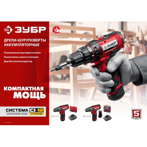 ЗУБР С1-12, 12 В, 30 Н·м, 1 АКБ (2 А·ч), дрель-шуруповерт (ДШЛ-125-21)