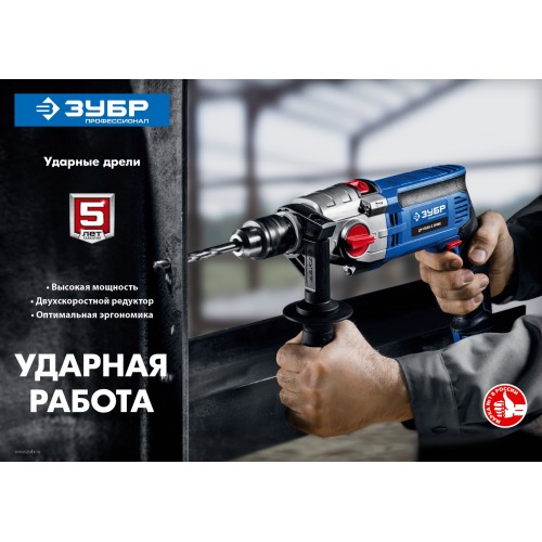ЗУБР 850 Вт, 13 мм, 2 скорости, ударная дрель, мет. корпус, кейс, Профессионал (ДУ-П850 ЭРМ)