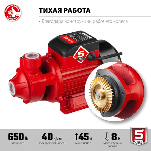 ЗУБР 650 Вт , поверхностный вихревой насос, корпус из чугуна (НС-М1-650-Ч)