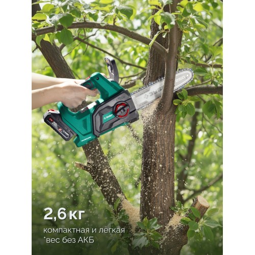 ЗУБР 20 В, 250 мм шина, 1 АКБ LMS (2 Ач), пила цепная аккумуляторная (ПЦБ-2025-21)